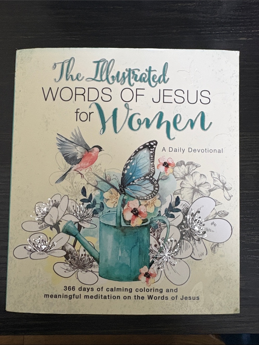 The Illustrated Words of Jesus for Women - Teal Cover Devotional
